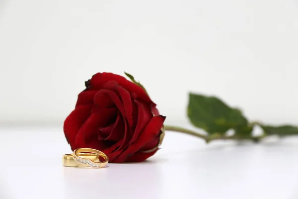 Zwei Ring Und Rote Farbe Der Rose Mit Grünem Blatt — Stockfoto