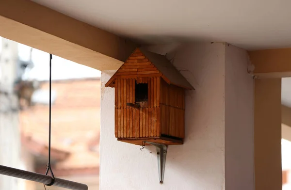 Nido Pájaro Construido Por Humanos Forma Como Una Casa Poste — Foto de Stock