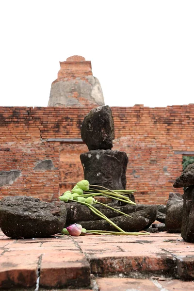 Incompleto Pedra Antiga Buda Com Flor Lótus Colo Nas Ruínas — Fotografia de Stock