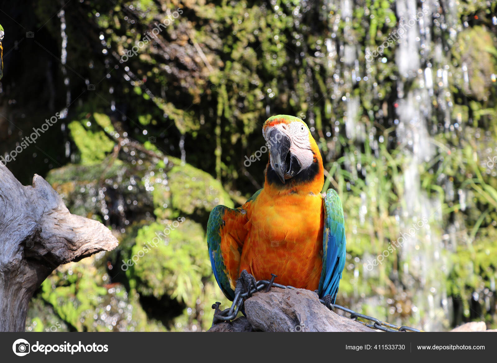 Renkli Kanatlar Desenleriyle Buyuluyor Yasam Guncel Haberler