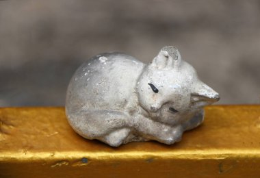 Bulanık arka planlı altın metal zemine uzanmış küçük bir kedi kaplaması..