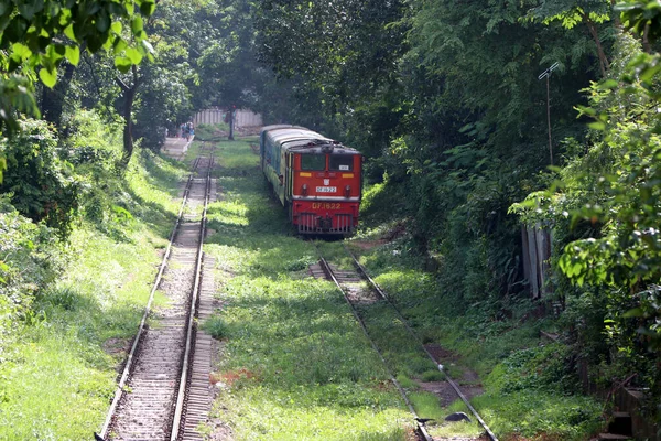 Yangon Myanmar Haziran 2018 Tren Raylarında Kırmızı Tren Etrafı Yeşil — Stok fotoğraf