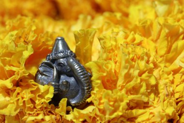 Mini Ganesha, Hinduizm ve Brahmanizm 'deki Uma Devi tanrısının oğlu sarı kadife çiçeğinden yapılmıştır. Bilgi ve sanat tanrısı..