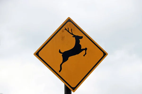Deer Sign Yellow Black Color Sky Background Traffic Sign Beware — Stock Photo, Image