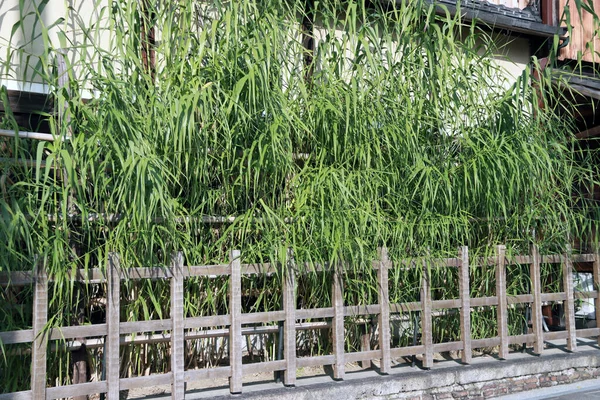Japanese House Covered Bamboo Tree Wooden Fence Kyoto Japan Japanese — Stock Photo, Image