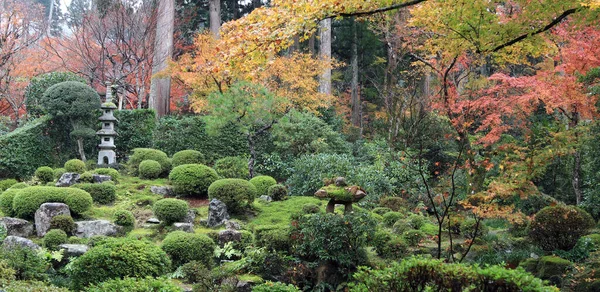 Rojo Naranja Amarillo Verde Japonés Hoja Rama Del Árbol Jardín —  Fotos de Stock