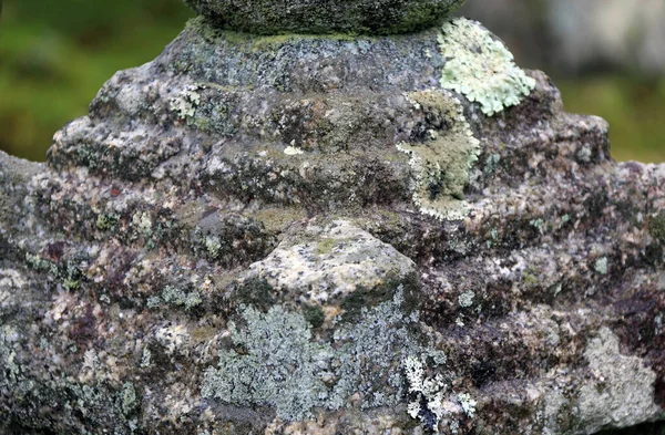 Detailní Zdobené Kamenný Kryt Lišejníkem Mechem Pozadí Stromu Japonské Zahradě — Stock fotografie