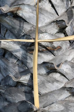 Palmiye ağacının arka planında haç şeklinde duran kuru palmiye yaprağı. Palm Sunday ve Kutsal Hafta kavramı.