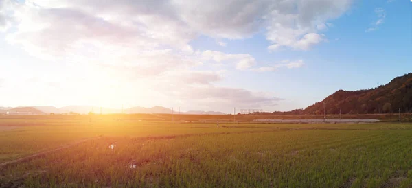 Panoramablick Landschaft Von Reisfeld Und Gebirgskette Auf Sonnenuntergang Hintergrund Japan — Stockfoto