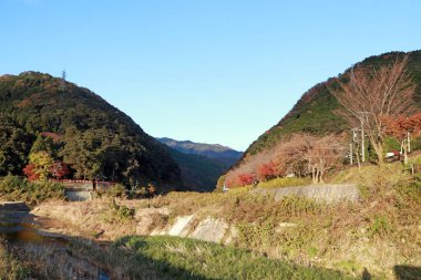 Kordillera 'daki ağaç Kyoto Japonya' daki Nishikyo 'da yeşil ve kırmızı renktedir. Sonbahar mevsiminin başlangıcında dağlar arasındaki su akıntısı.