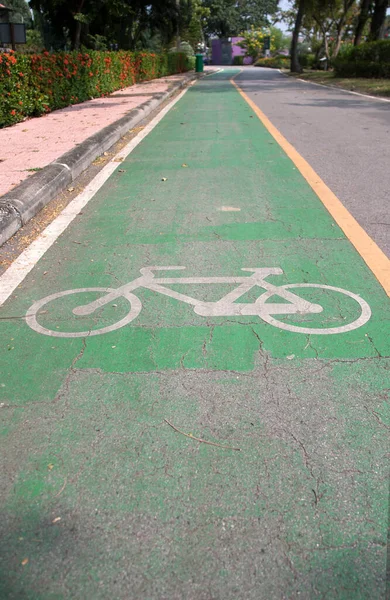 绿色自行车道上的白色自行车画 它是用漆线标出的道路的一个分岔 供骑自行车的人使用 — 图库照片