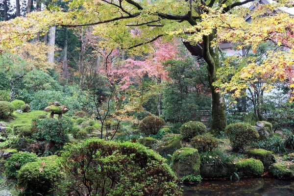 Rojo Naranja Amarillo Verde Japonés Hoja Rama Del Árbol Jardín —  Fotos de Stock