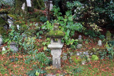Ohara, Kyoto, Japonya, 18 Kasım 2017: Jikko-in tapınağındaki yeşil bahçede liken yosunları tarafından taş fener örtüsü.