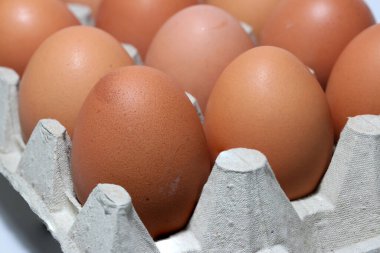 Tavuk yumurtası, kağıt yumurta tepsisine yerleştirilmiş perspektif. Kağıt yumurta tepsisinin üstünde bir sürü kırmızımsı sarı yumurta var..