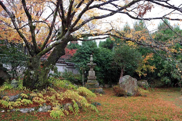 Ohara Kyoto Japão Novembro 2017 Folha Japonesa Amarela Verde Ramo — Fotografia de Stock