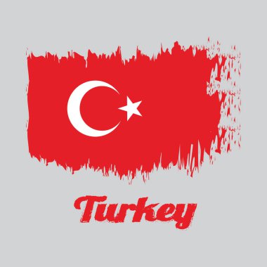 Türkiye 'nin fırça stili renk bayrağı, beyaz yıldızlı kırmızı bir alan ve merkezin biraz solunda Türkiye metni bulunan hilal rengi.