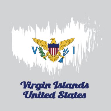 Virgin Adaları 'nın fırça rengi bayrağı, Virgin Adaları ile V ve I. harfleri arasında ABD arması..