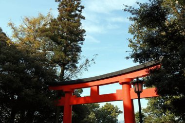 Bir torii ve mavi gökyüzü arka planlı bir ağaç. Geleneksel bir Japon geçididir. Genellikle, dinsizlikten kutsallığa geçişi sembolik olarak simgeleyen girişinde bulunur..