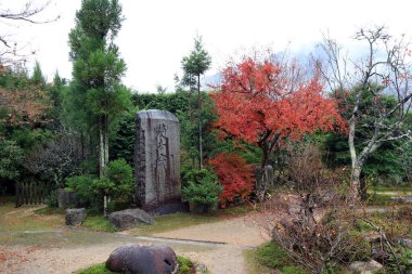 Ohara, Kyoto, Japonya, 18 Kasım 2017: geleneksel Japon bahçesi. Jikko-in tapınağındaki sonbahar bahçesindeki ağacın dalında kırmızı ve yeşil Japon Yaprağı..