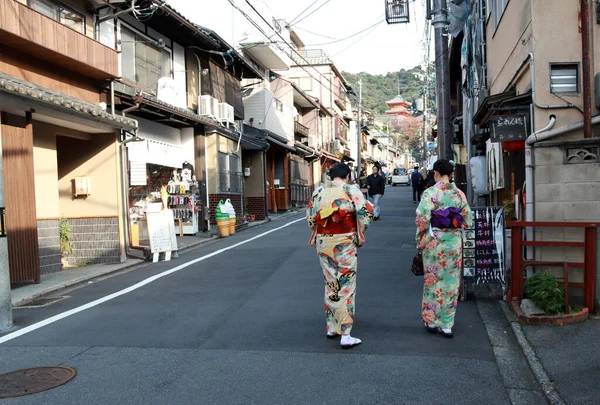 Fushimi Kyoto Japan November 2017 Zwei Frauen Kimono Kleidung Auf — Stockfoto
