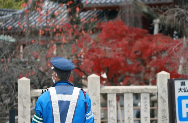 2017年11月21日 日本奈良佐治哥 身穿蓝色制服的日本交通警察在红树下的街道上履行职责 — 图库照片