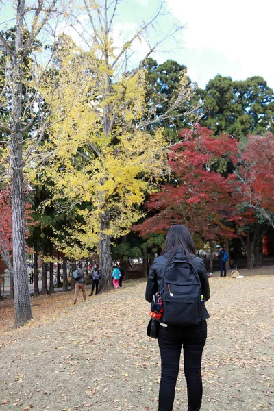 Zoshicho Nara Japan November 2017 Rückseite Eines Touristenmädchens Schwarzem Kleid — Stockfoto