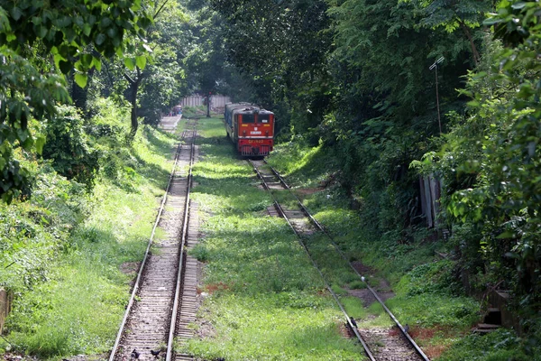 Yangon Myanmar Haziran 2018 Tren Raylarında Kırmızı Tren Etrafı Yeşil — Stok fotoğraf