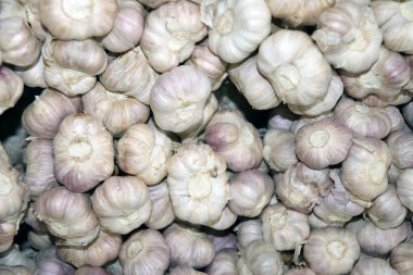 Yığının deseni beyaz sarımsak. Keskin bir tadı ve kokusu olan yenebilir bir yemek pişirmede kullanılır..