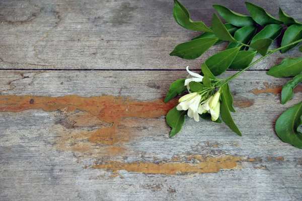 木製のテーブルの上にオレンジジャスミンと緑の葉 — ストック写真