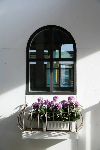 Fleurs Violettes Pot Blanc Sur Les Barres Acier Extérieur Fenêtre — Photo