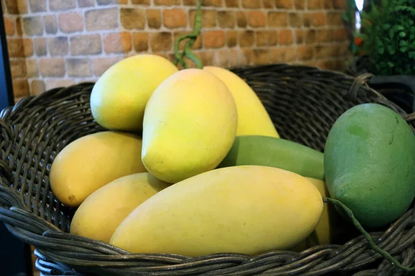 Modello Mango Plastica Nel Cestino Rattan Marrone Nero Perche Non — Foto Stock
