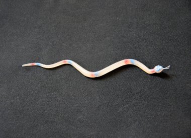 Rubber snake on the black fabric. A toy that should not be played by children. clipart