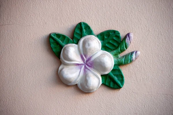 Plumeria Flor Estuque Fundo Laranja Claro Cal Moldado Flor Frangipani — Fotografia de Stock