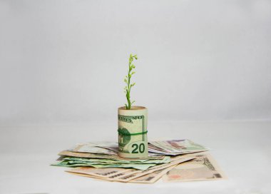 Para büyümesi kavramı, ABD banknotlarından filizlenen yeşil ağaç ve beyaz arka planda Tayland, Japon ve Kamboçya banknotları yığını üzerinde kauçuk bant kullanımı.