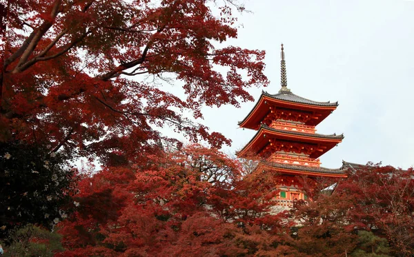 Kiyomizu Higashiyama Kyoto Japón Noviembre 2017 Pagoda Tres Capas Techo — Foto de Stock