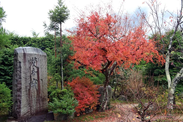 Ohara Kyoto Japan November 2017 Der Traditionelle Japanische Garten Rotes — Stockfoto