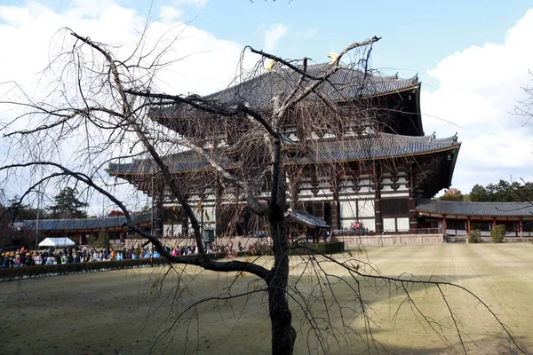 Zoshicho Nara Japonya Kasım 2017 Kuru Ağaç Budist Kilisesi Mavi — Stok fotoğraf