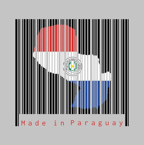 Barcode Setzt Die Form Auf Die Umrisse Der Paraguay Landkarte — Stockvektor