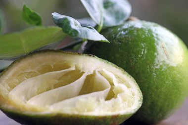 İnceleme kireç tam limon ve ahşap masa yaprakları ile sıkılmış. Limon, limona benzeyen yuvarlak bir narenciye ama daha yeşil, daha küçük ve kendine özgü asit aromalı..