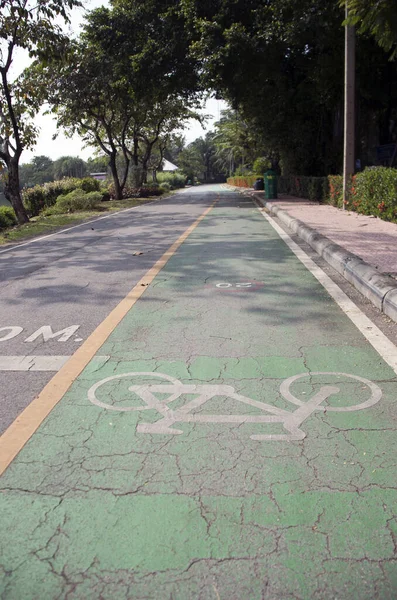 Die Weiße Fahrradbemalung Auf Dem Grünen Radweg Handelt Sich Die — Stockfoto