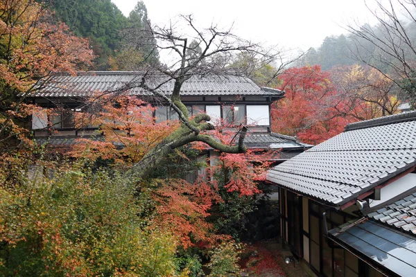 Casa Entre Árbol Otoño Ver Paisaje Hogar Bosque Entre Cordillera — Foto de Stock