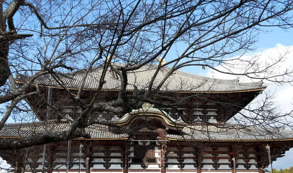 2017年11月21日 日本奈良佐治哥 由柚木制成的干树根和佛教教堂 是世界上最大的托戴寺 — 图库照片