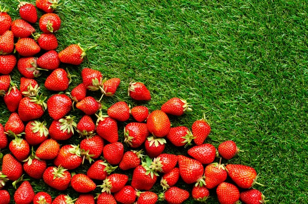 Fraises Fraîches Rouges Sur Herbe Verte Vue Près — Photo
