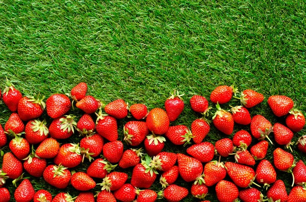 Fraises Fraîches Rouges Sur Herbe Verte Vue Près — Photo