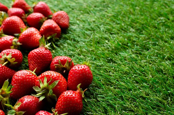 Fraises Fraîches Rouges Sur Herbe Verte Vue Près — Photo