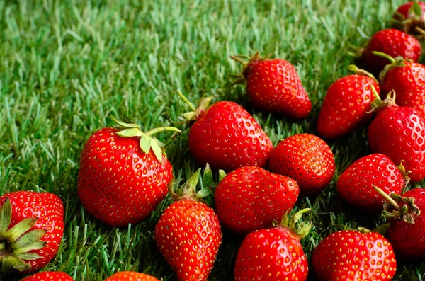 Fraises Fraîches Rouges Sur Herbe Verte Vue Près — Photo