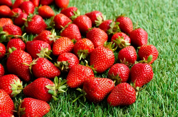 绿草上的红色新鲜草莓 — 图库照片