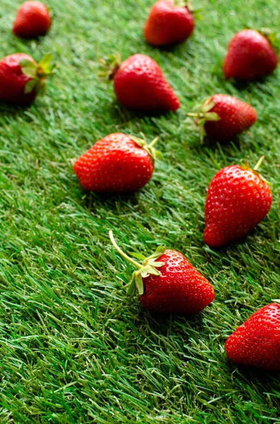 Fraises Fraîches Rouges Sur Herbe Verte Vue Près — Photo