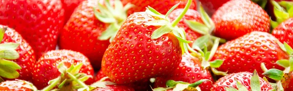 红色生鲜草莓 — 图库照片