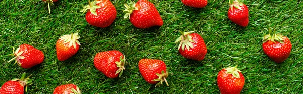 Fraises Fraîches Rouges Sur Herbe Verte Vue Près — Photo